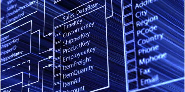 Veri Tabanı Yönetimi (Database Management) Nedir?