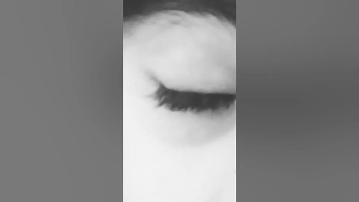 24 şubat — TR news