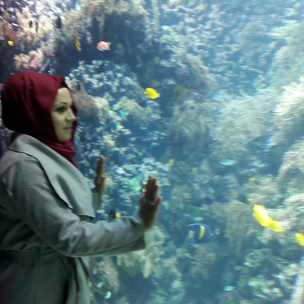 ebru koyuncu — TR news