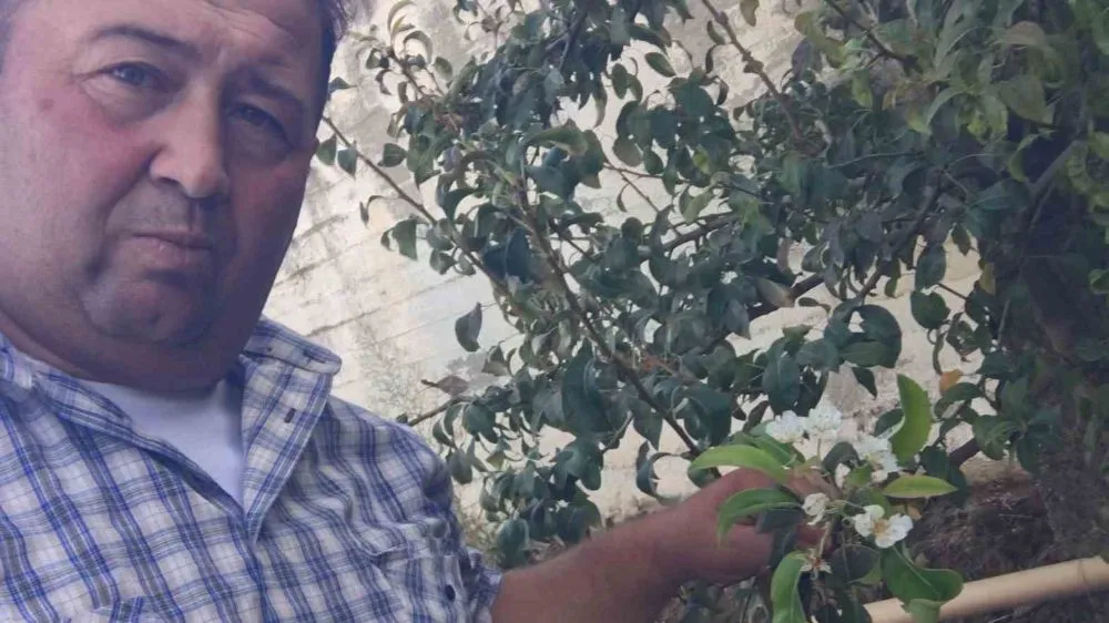 manisa hava durumu — TR news