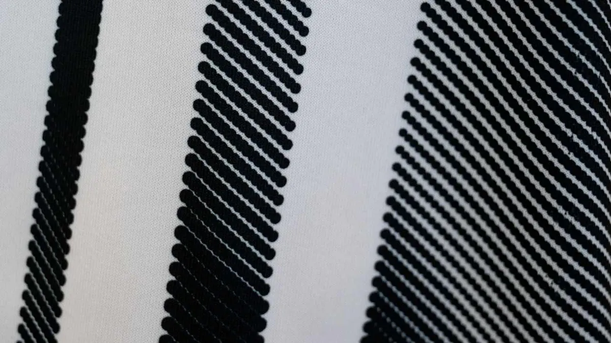 vasilije adžić — TR news