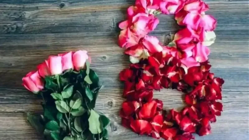 8 mart dünya kadınlar günü mesajı — TR news