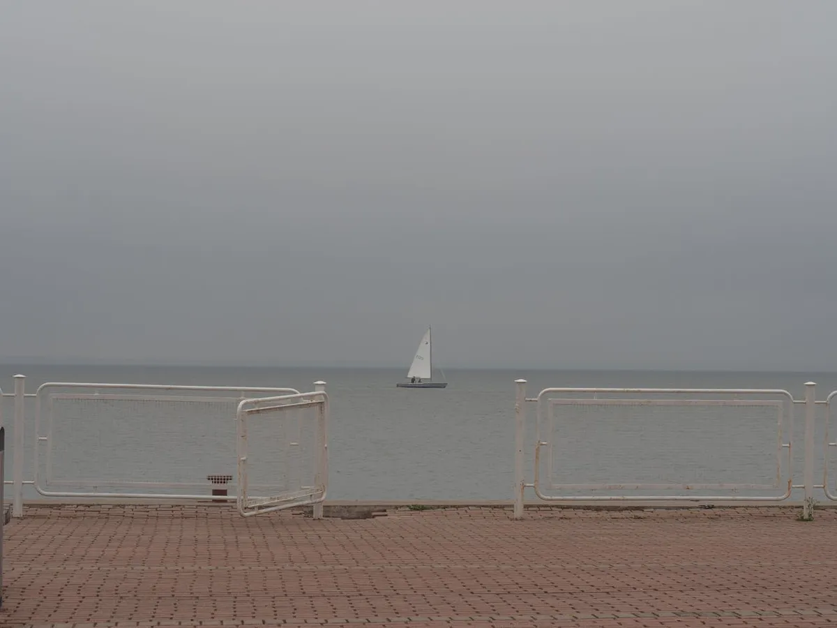 arda güler nereli — TR news