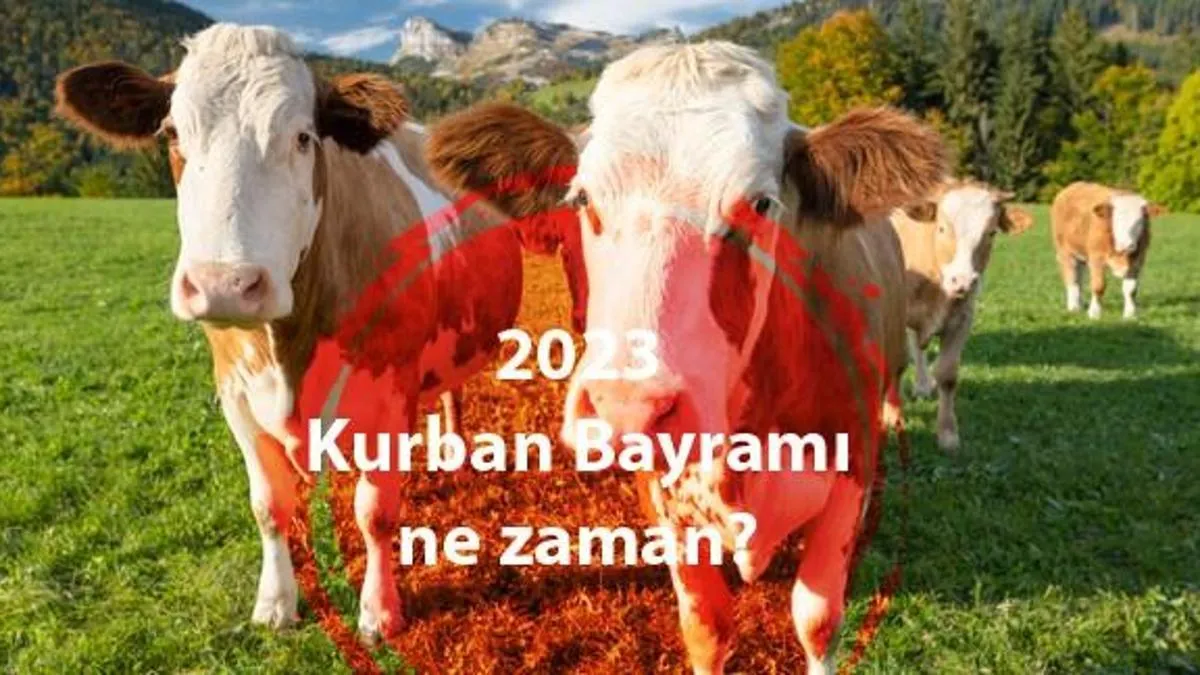 bayrama kaç gün kaldı — TR news