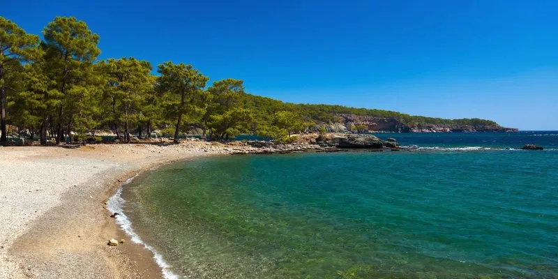 en uygun — TR news