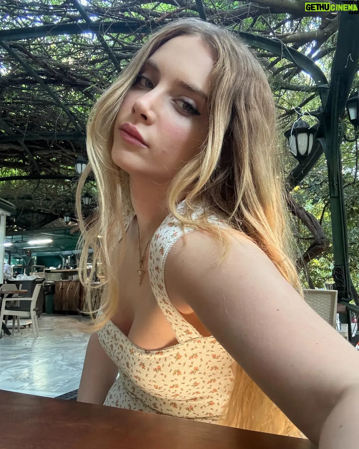 hayal köseoğlu — TR news