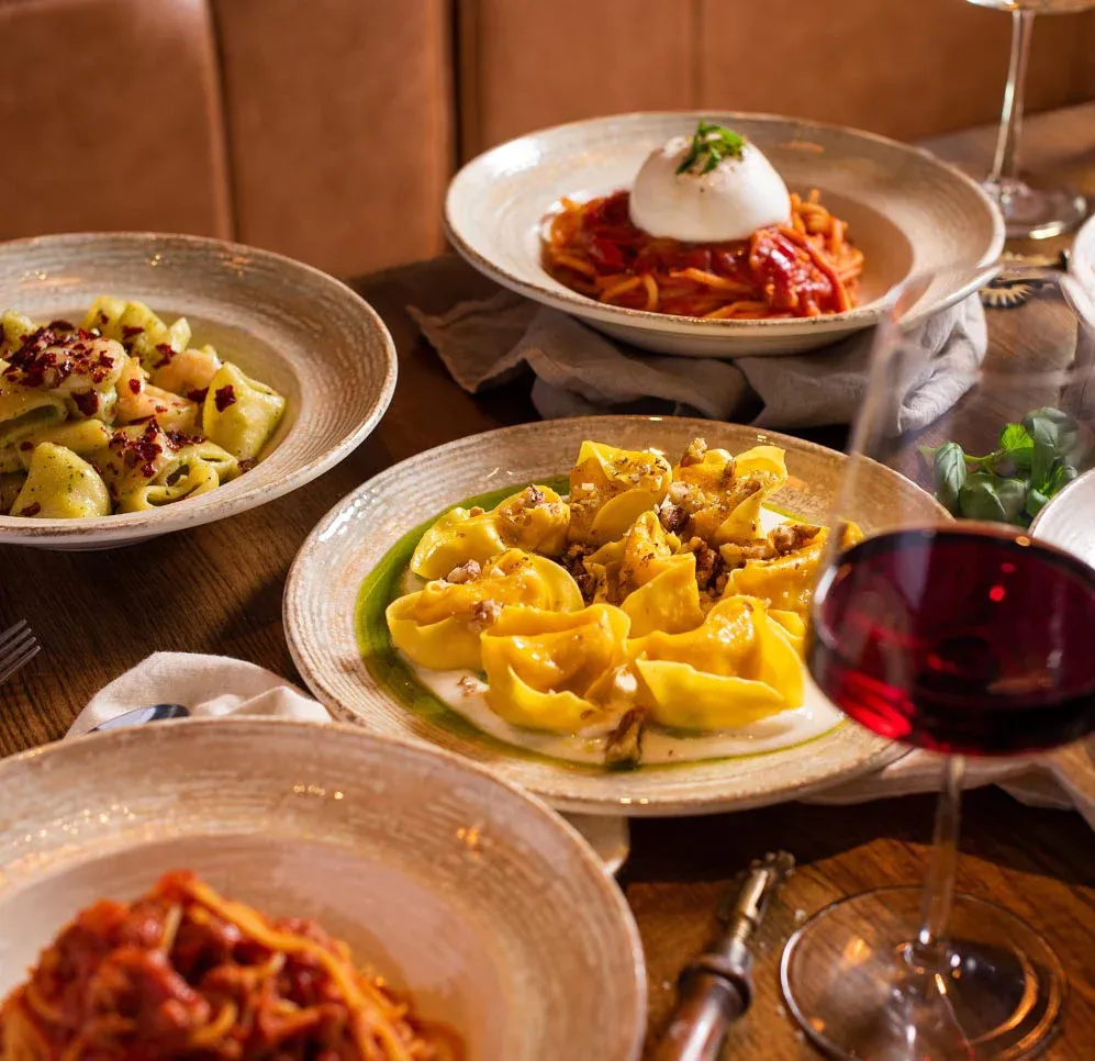 scarpetta — TR news