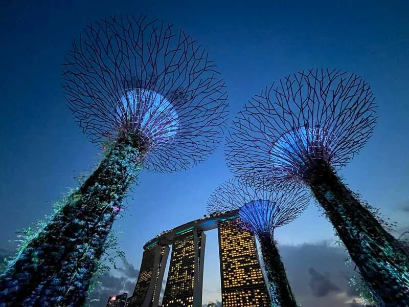 Singapur Ulusal Üniversitesi’nin Futbol Turnuvasındaki Performansı