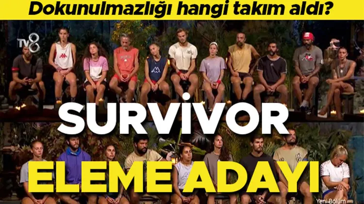 survivor — TR news