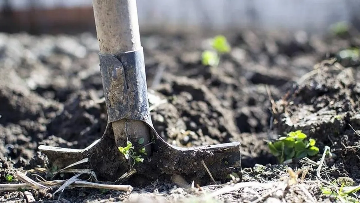 tarım ve orman bakanlığı — TR news