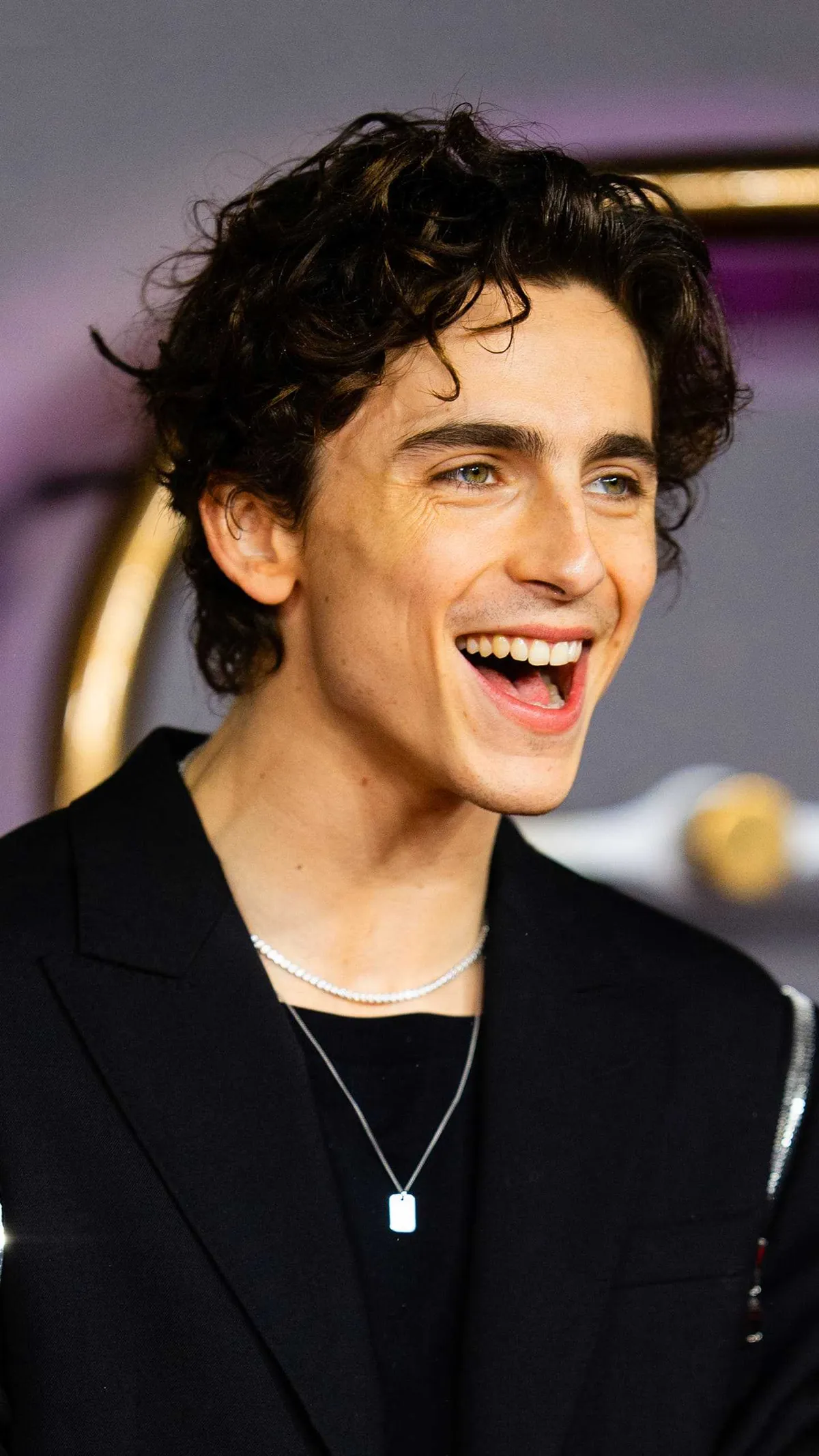 timothee chalamet — TR news