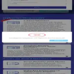 E-okul ile LGS Başvuru Süresi Uzatıldı