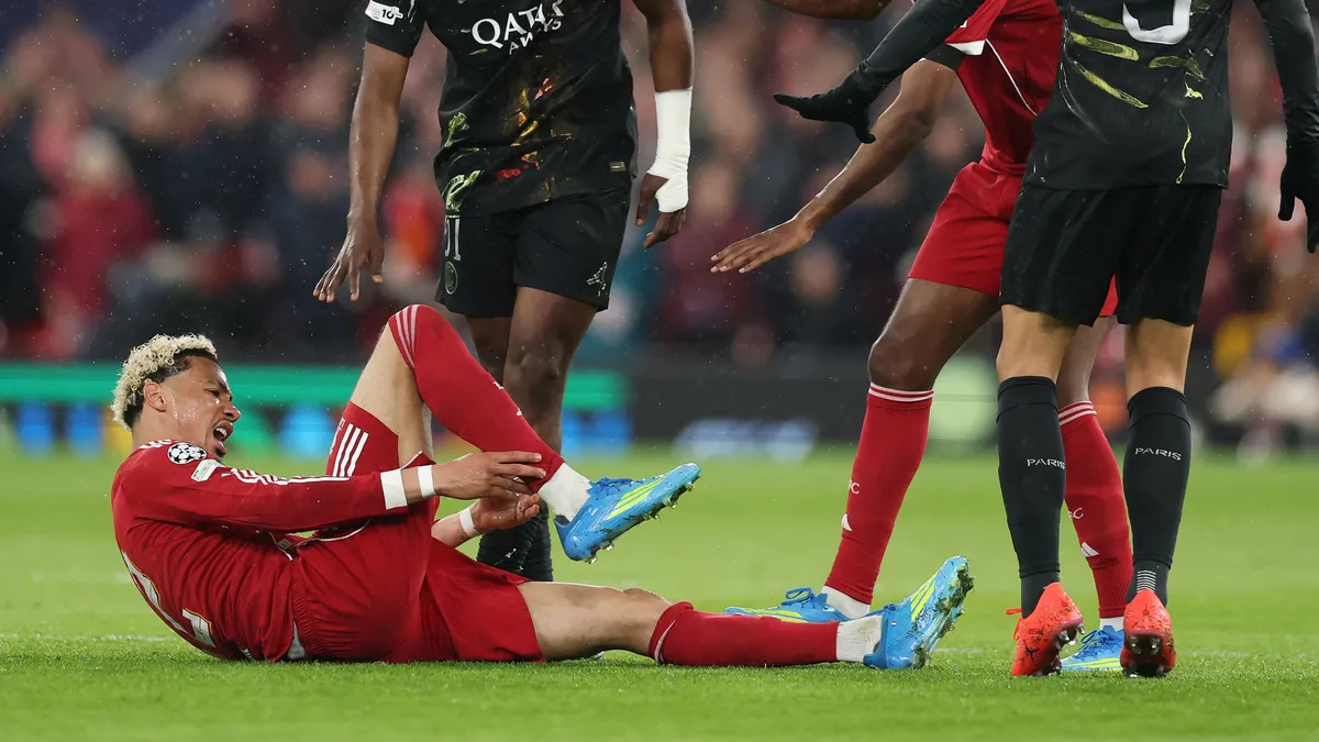 fransa ligi — TR news