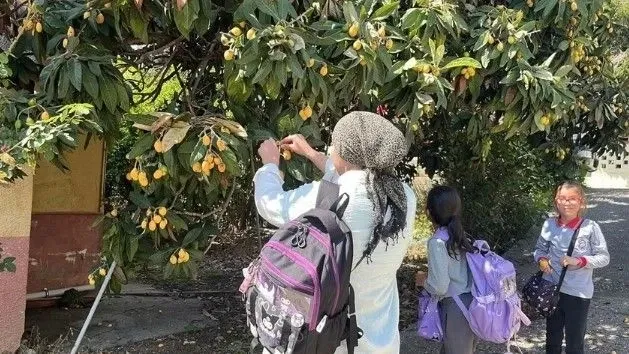 malta eriği — TR news