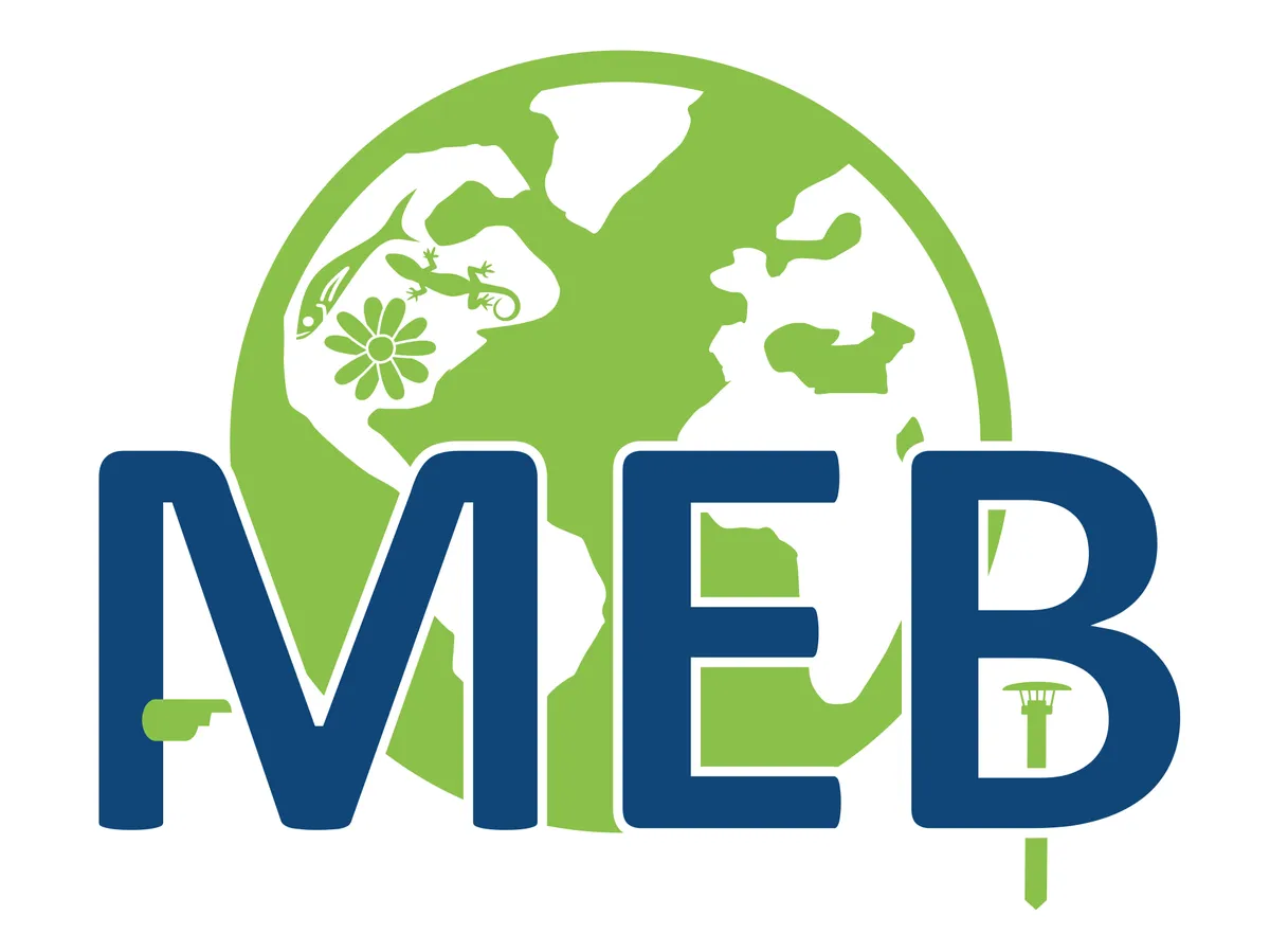 meb — TR news
