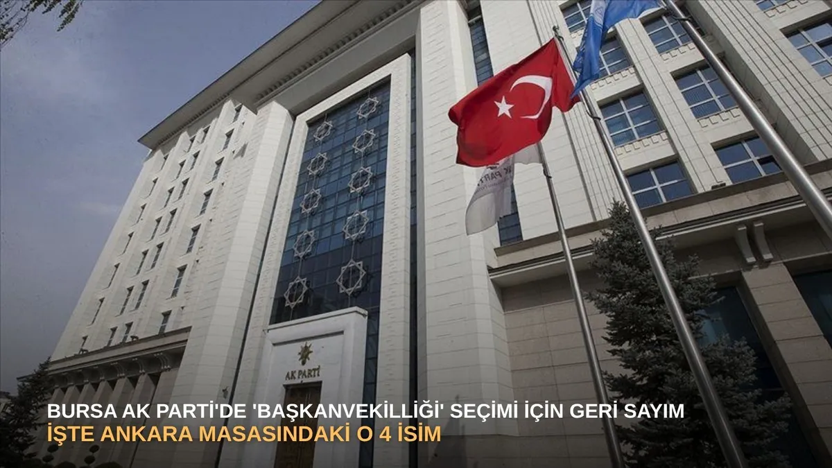 şahin biba — TR news