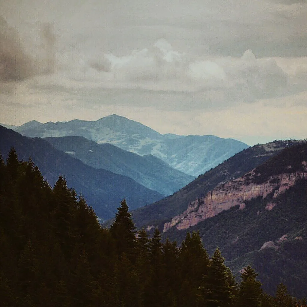 artvin — TR news