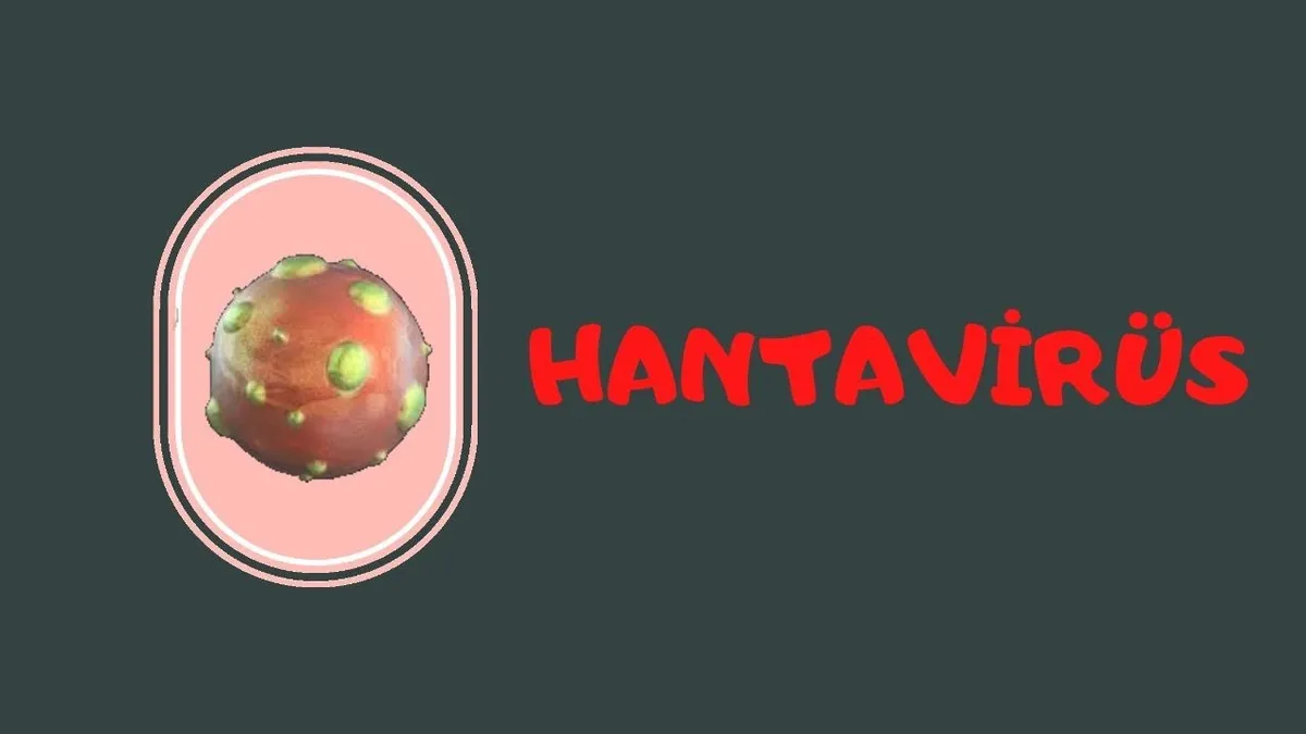 hantavirüs — TR news