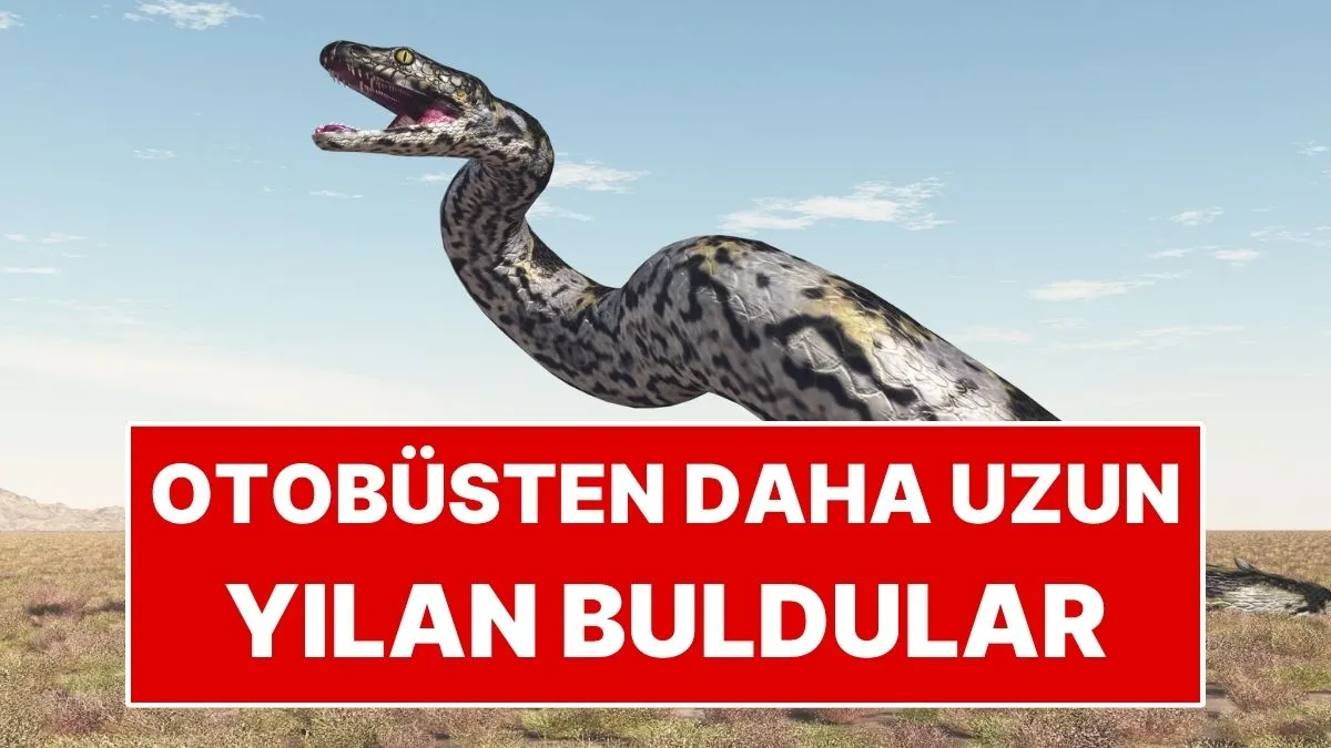 yılan — TR news